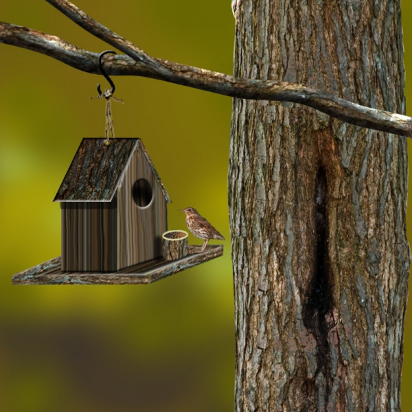 Creation of Bird House: Step 5